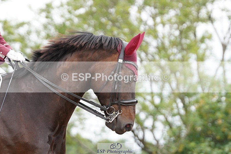 250622-112008-15705 - Cls 55 Freestyle Medium Inc Presentations