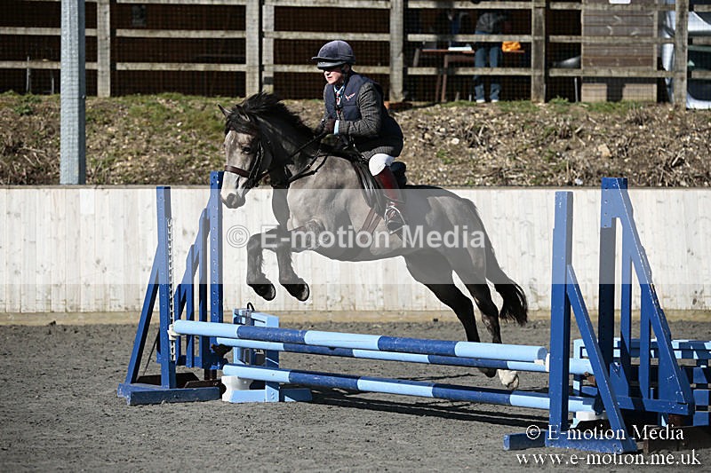BVRC SJ 170319 19 - Bourne Valley Riding Club Showjumping 17/03/19