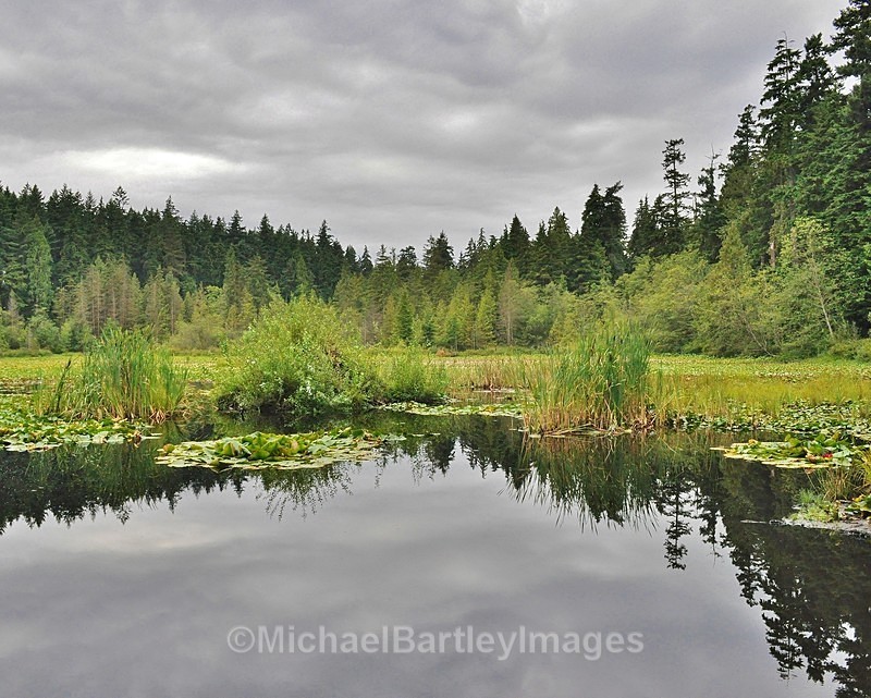 Calm Before The Storm - Nature as Art