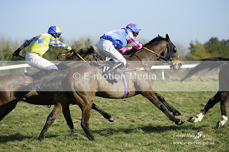 PtP 270222 239 - South & West Wilts Point-to-Point Larkhill 27/02/22