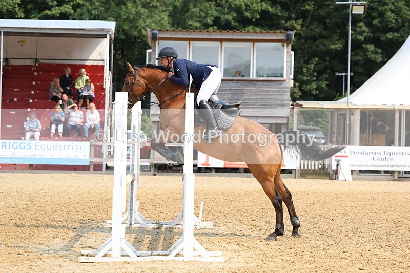 3E7A1132 - Class 4: Senior British Novice/90cm open