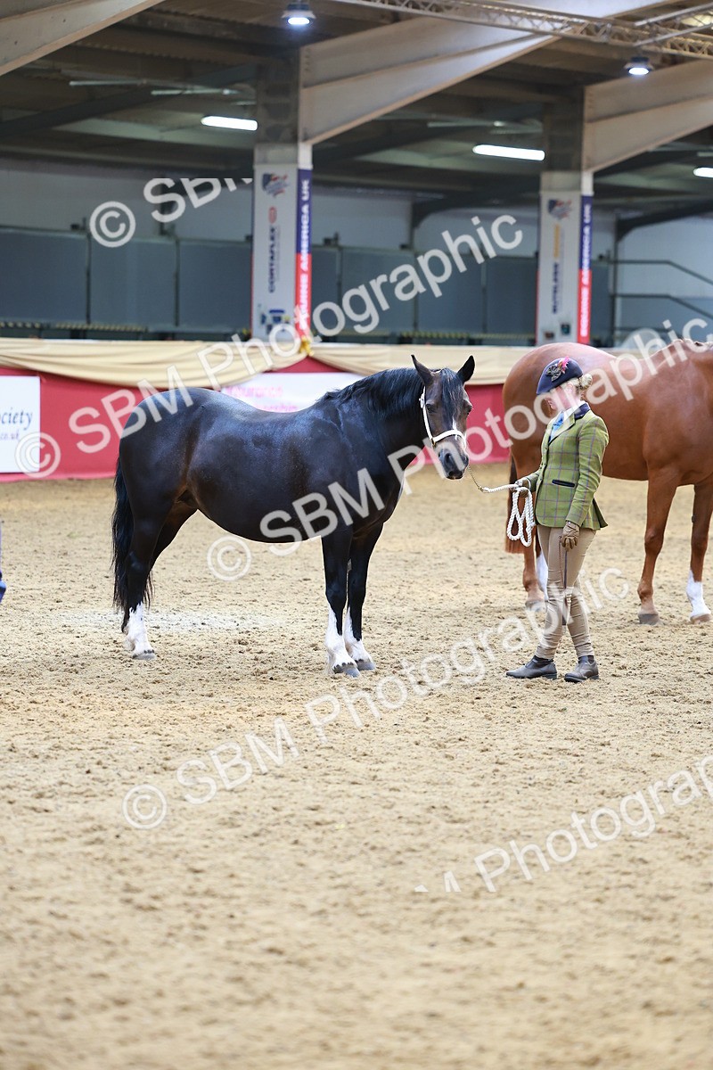 SBM_04282 - Class 9R - IH Pre-Vet