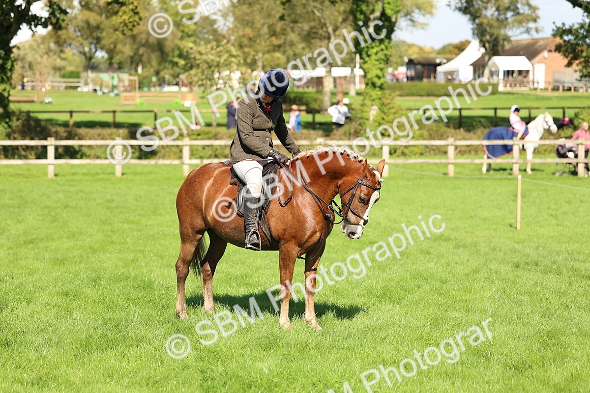 SBM_45431 - S33 - Working Hunter Pony