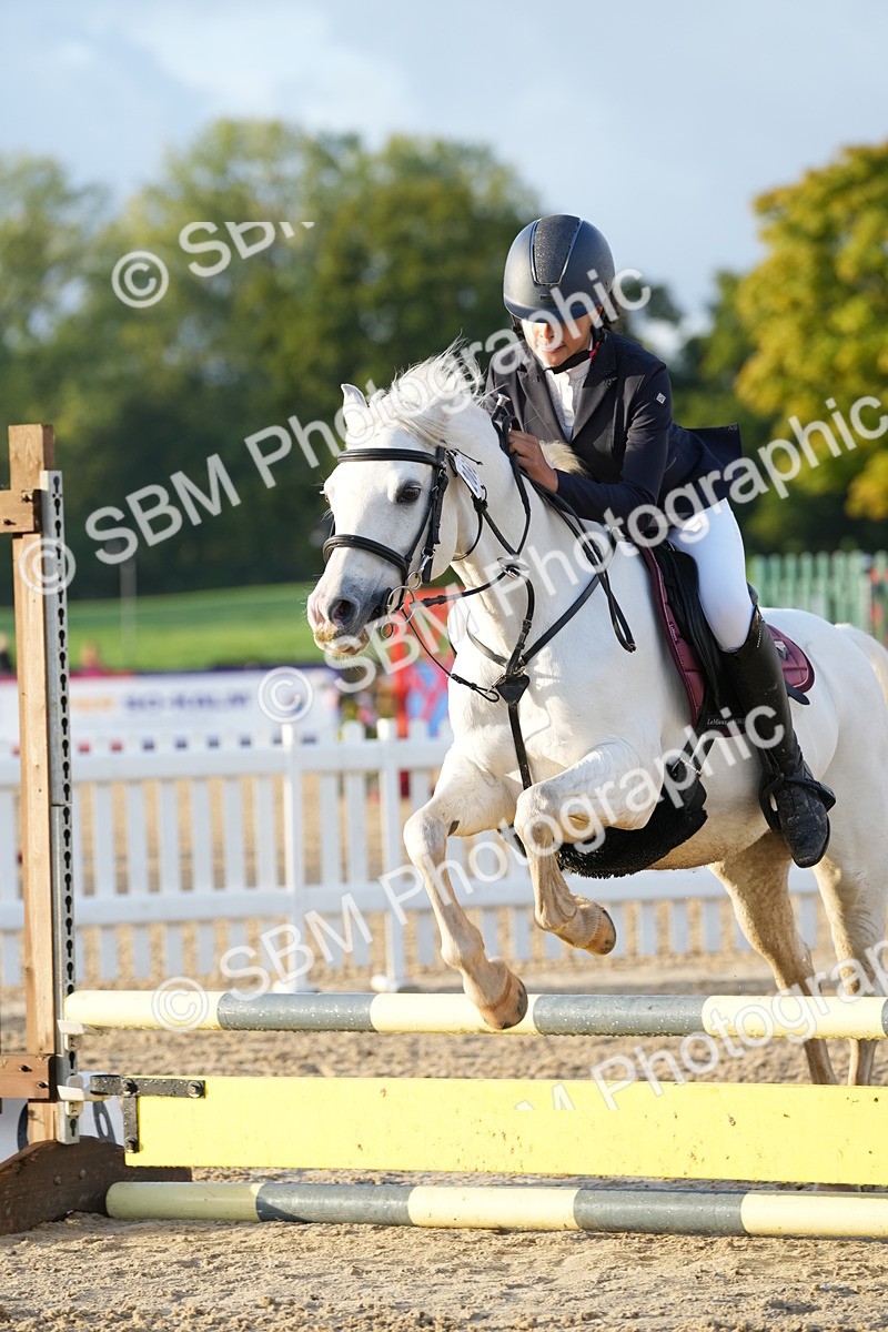 SBM_32186 - J5 - Junior Pony 50cm Championship