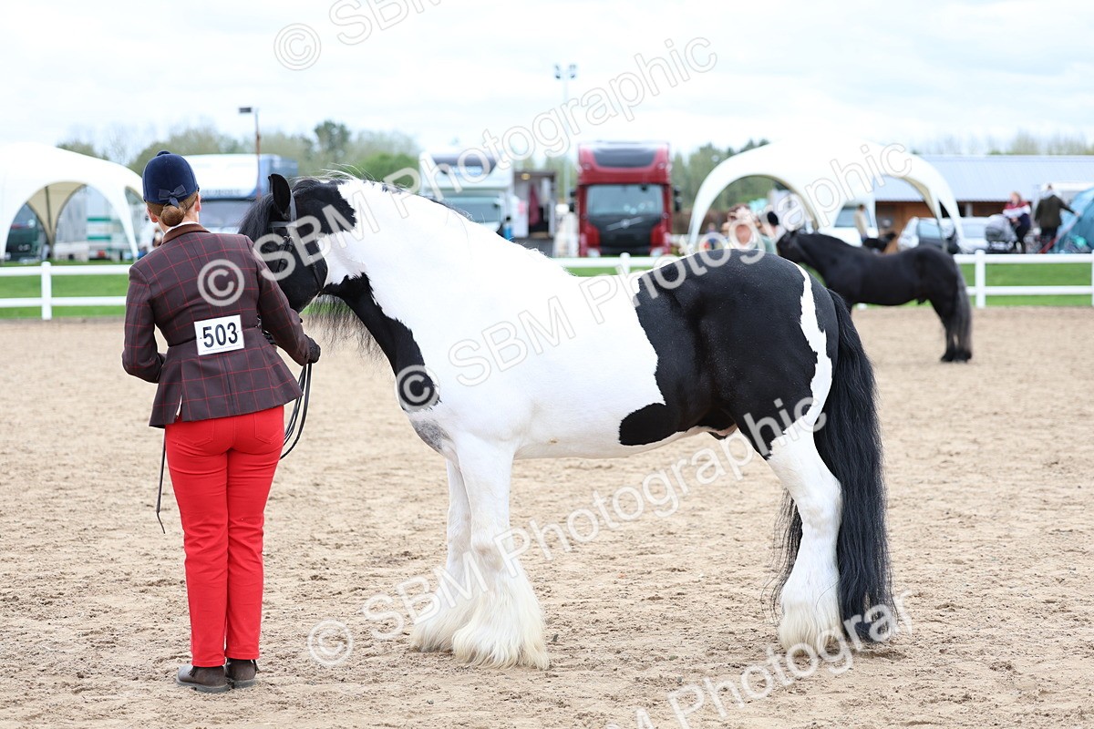 SBM_05945 - Class 29 - IH Veteran Pony