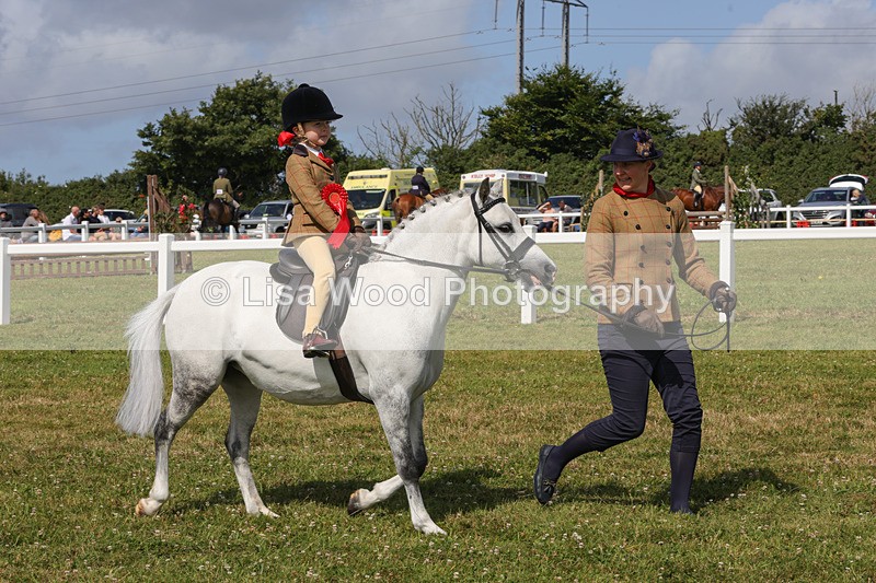 1X9A3696 - Class 29: Lead Rein SP/SHP