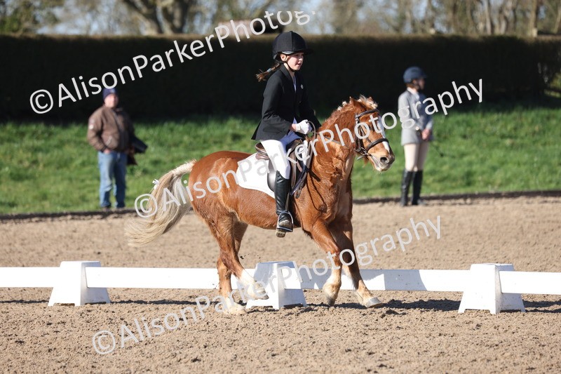 20260214-0360 - Class 4 - Novice 2