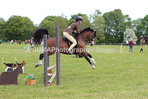 IMG_2881 - Working Hunter