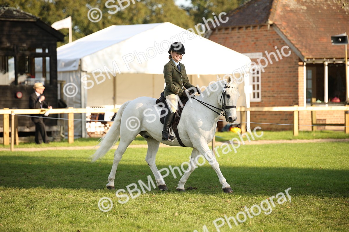 SBM_54389 - S27 - Mature Veteran - Ridden