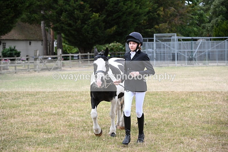 WJ6_4227 - Class 10 Coloured In-hand