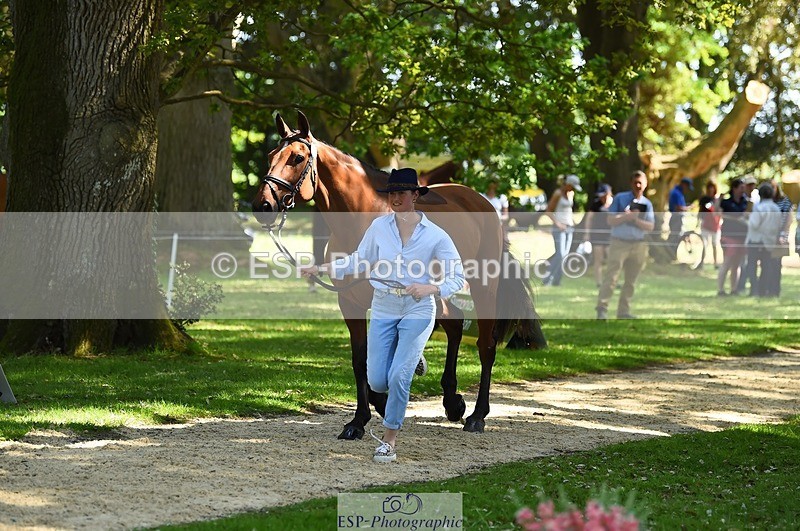 230524-152532-00254 - 327-ROMANTIC-Rosie_Fry-WEDTrotUp+DR