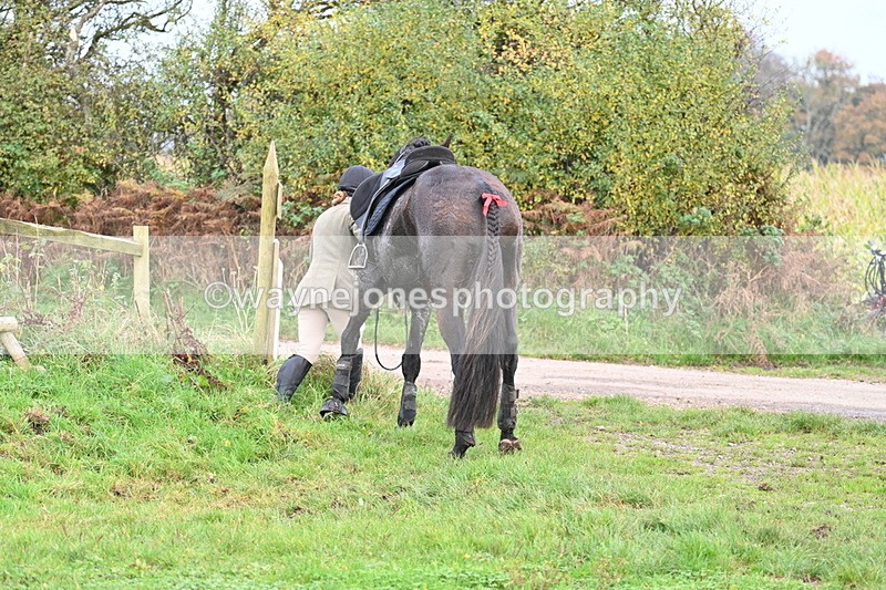WJ7_0455 - Camera 1 & Last fence