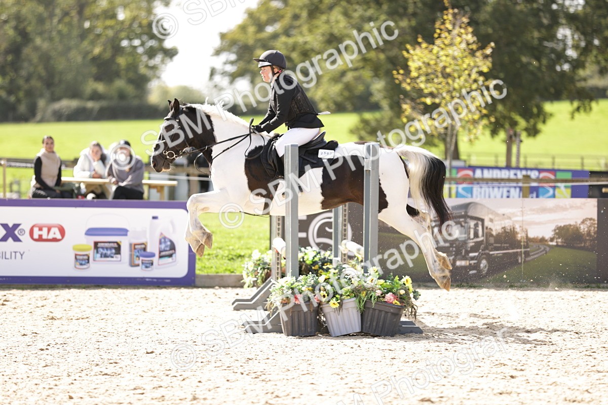 SBM_18477 - Supreme Championship