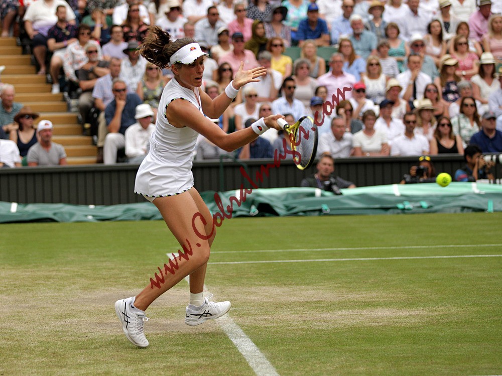 AF0I0107 - Wimbledon