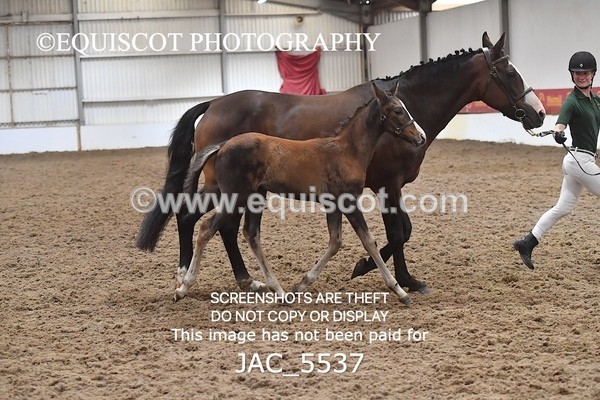 JAC_5537 - 13 Zi Real McCoy