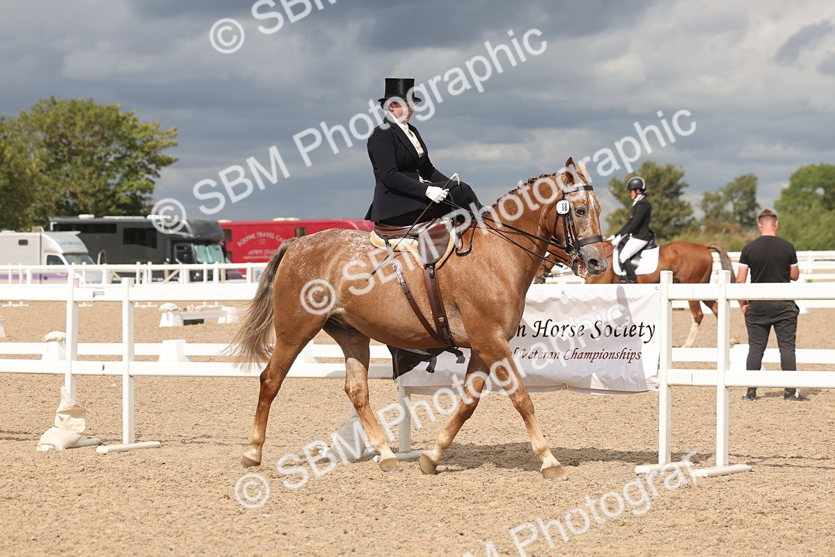 SBM_06342 - Class 22 - SSA - Equitation