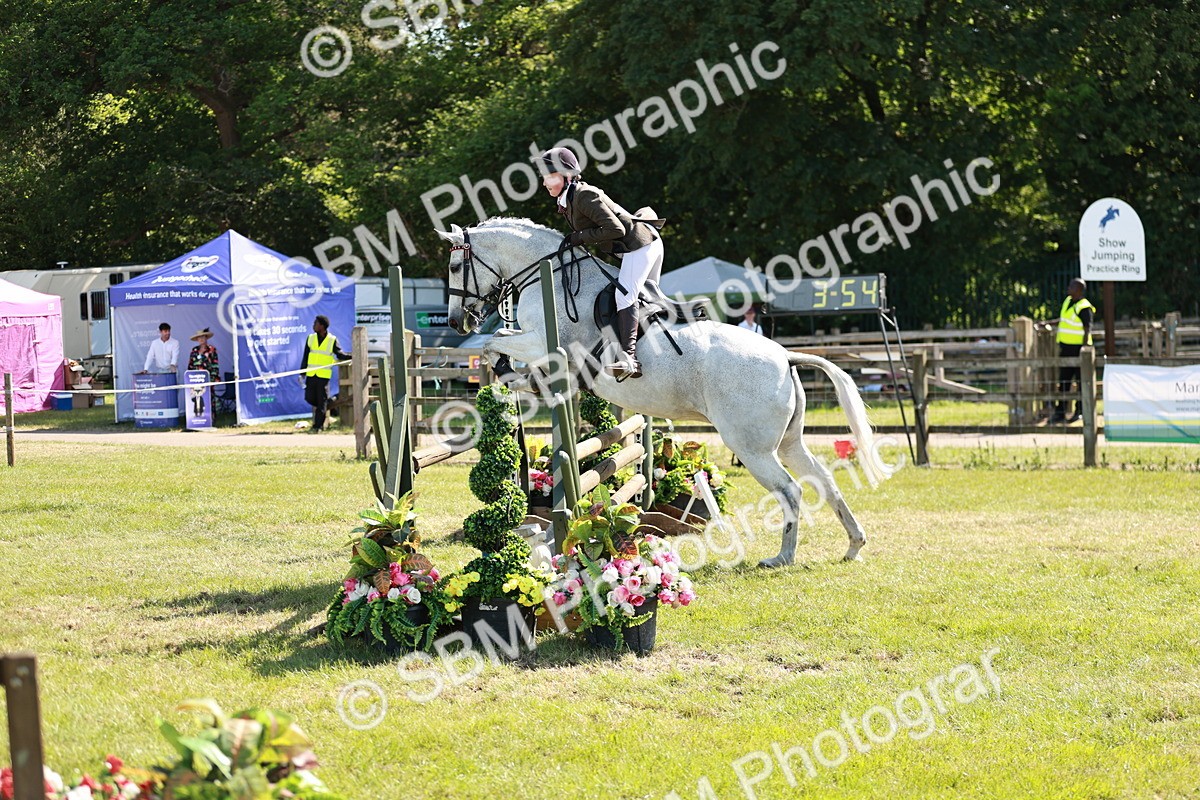 SBM_18854 - Class 114 - RIHS & SEIB Open Working Show Horse