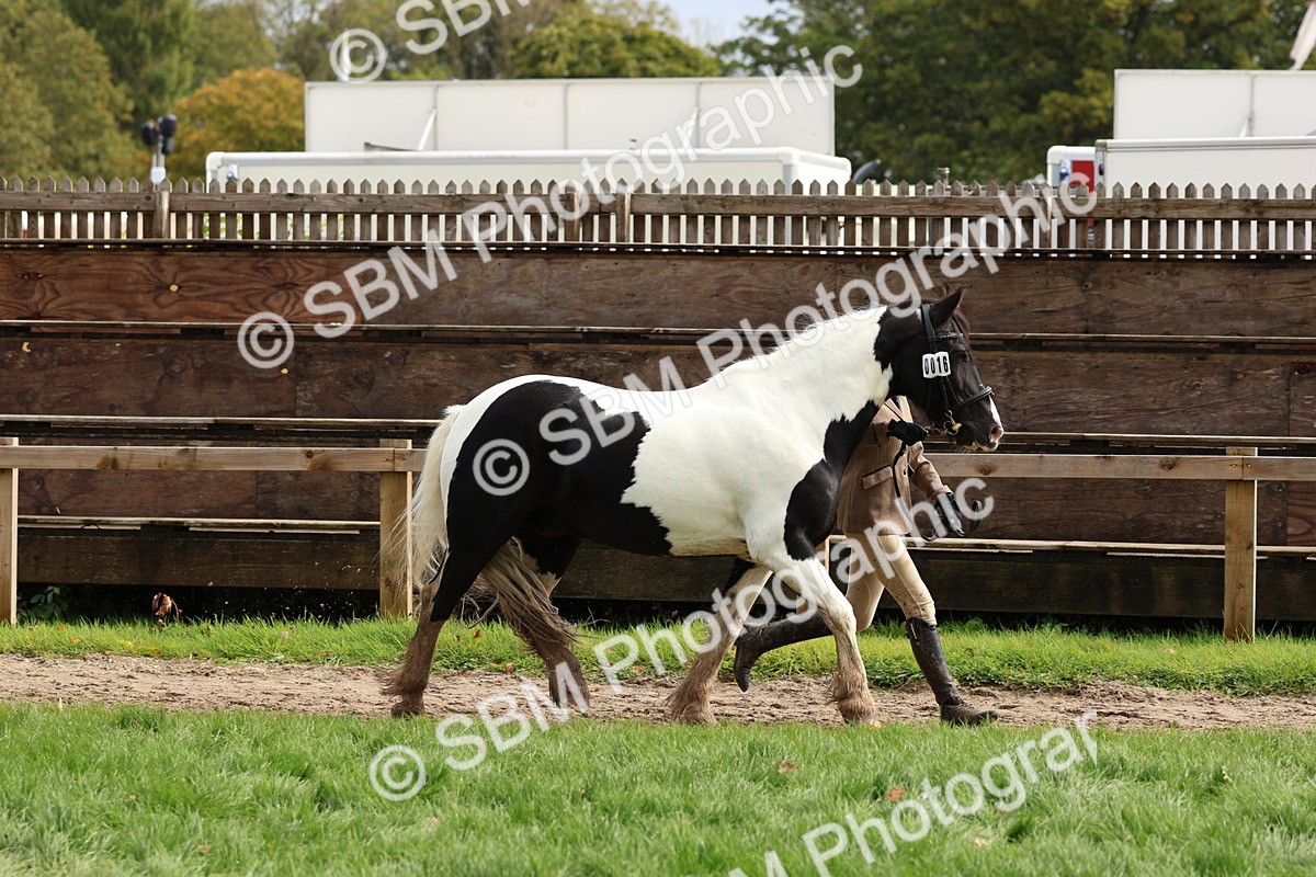 SBM_40743 - S25 -  Veteran In Hand