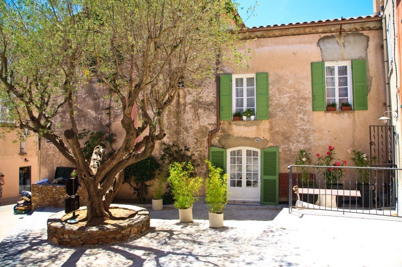 House and Tree - European Landscapes