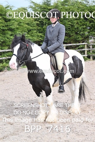 BPP_7416 - RING 1  (RIDDEN HORSES / IN HAND / VETERAN ETC)