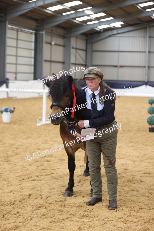 20260913-1765 - Class 117 - Stallion 4years and over