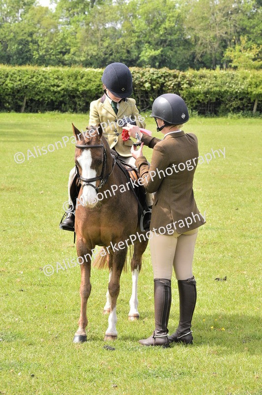 20260426-2342 - Class 20 - Beginner Working Hunter
