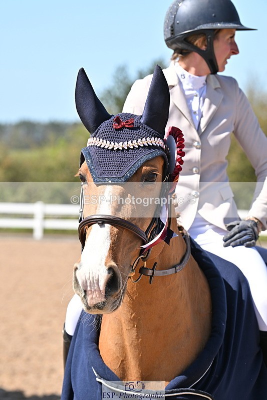 240420A-122704-10810 - Cls 15, 1 Star Bronze Tour 1.15m