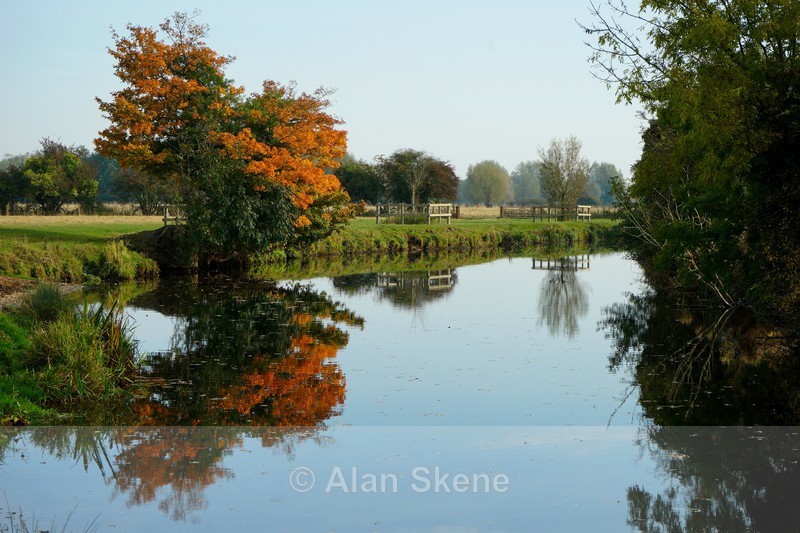 DSC01974 - Autumn