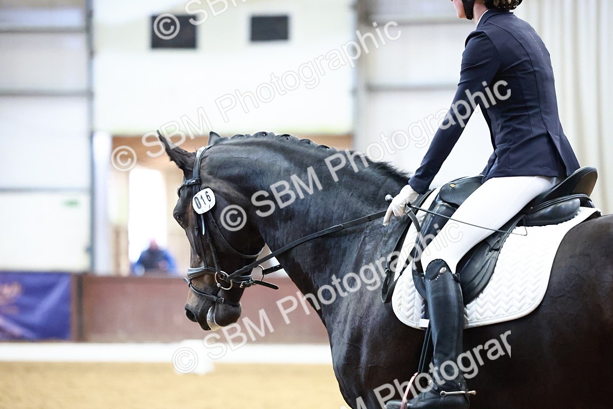 SBM_002210 - Class 4 - Novice 5