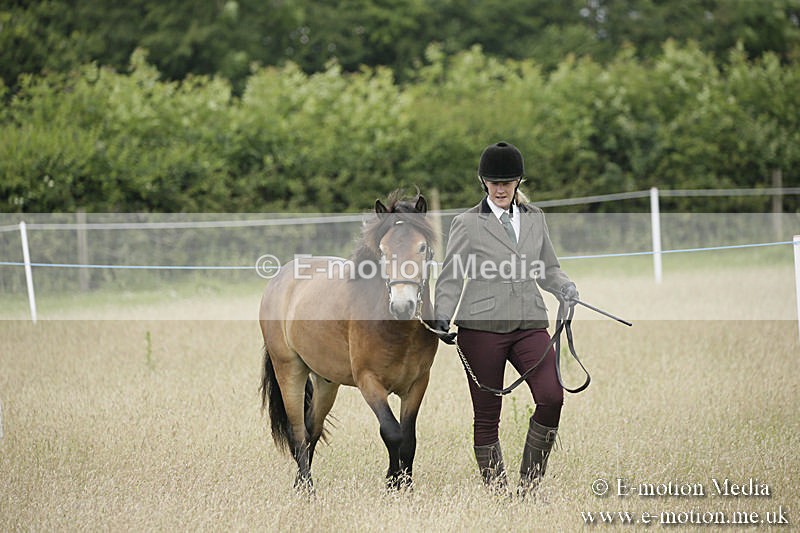 B230619-0048 - Bourne Valley Riding Club Summer Show 23/06/19