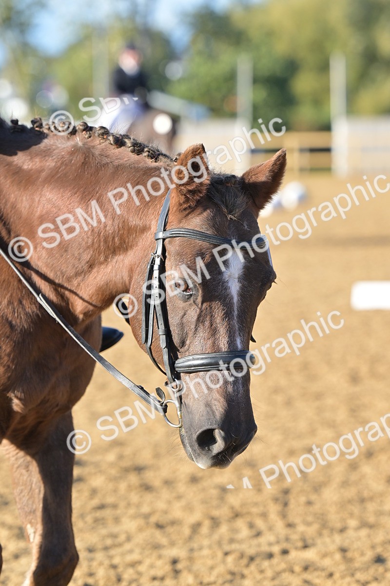 SBM_13112 - D3 - Small Tour Championship Intro 3