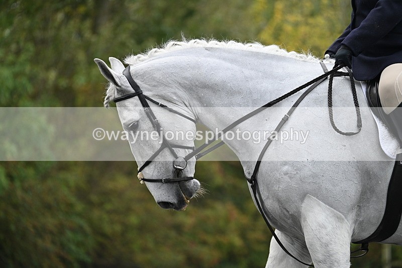 WJ7_2921 - Time 09:00 to 09:35