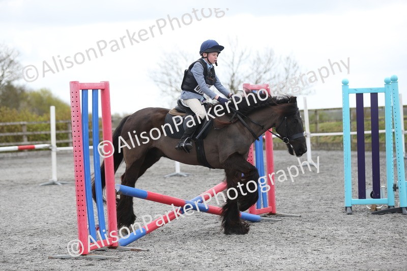 20260412-0591 - Show Jumping