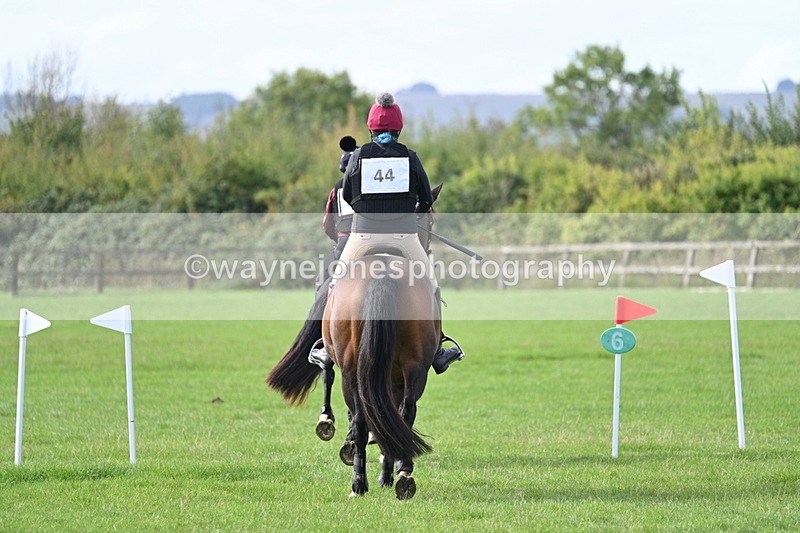 WJ7_8288 - 60cm Pairs