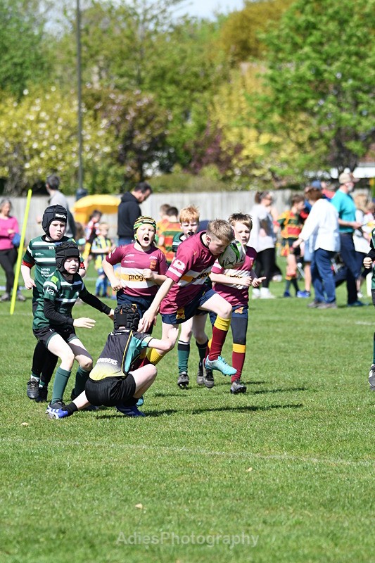  - Selby Rugby Festival 2025