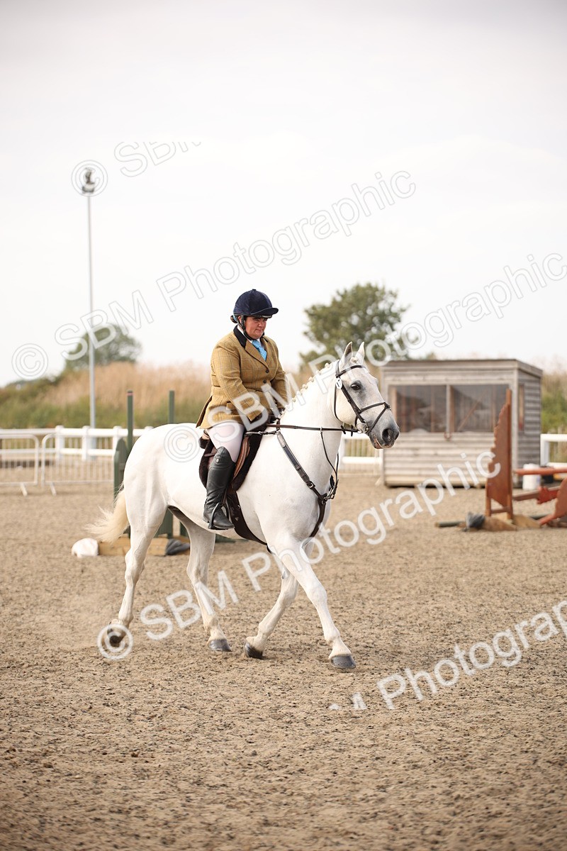 SBM_17264 - Class 410a - Wor5king Veteran 90cm (15-19)