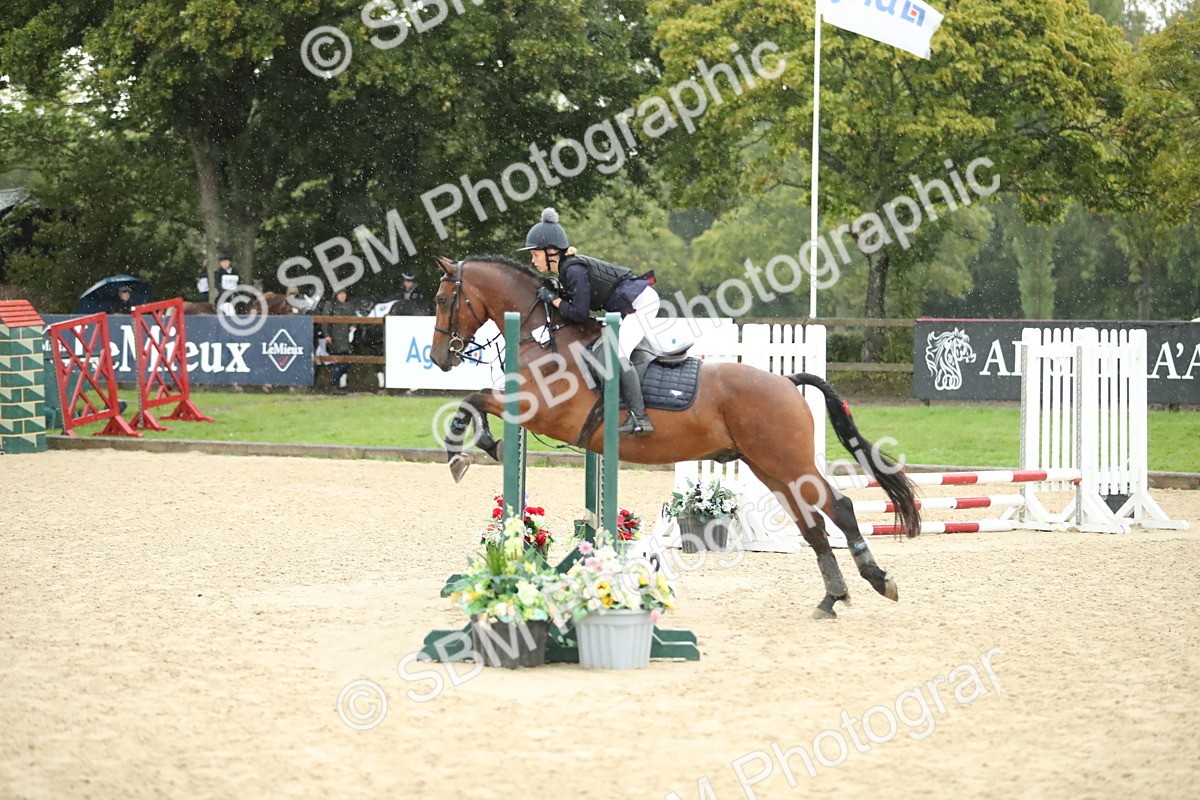 SBM_34322 - J60 Clear Round 50cm