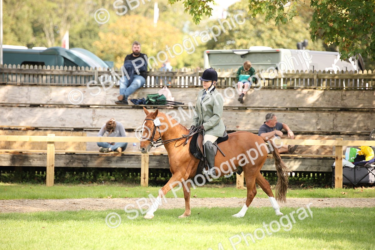 SBM_50044 - S26 - Young Veteran - Ridden