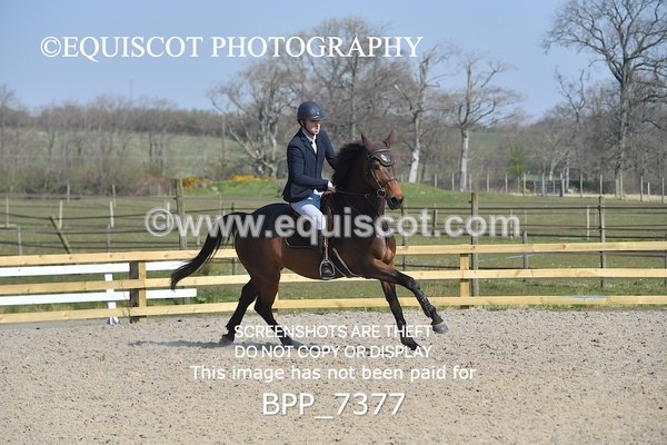 BPP_7377 - CLASS 4 Senior 1.05m Open