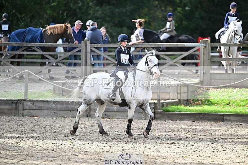 251005A-133401-04091 - Cls 09 Nov 80-85cm