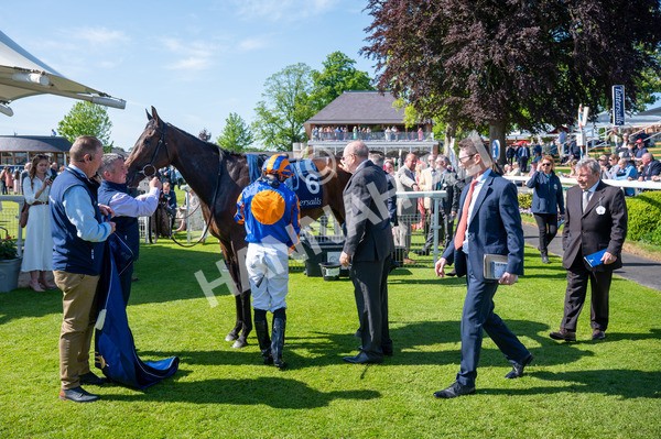 140525-Race 4-Whirl-4907 - Race 4 3.45pm Tattersalls Musidora Stakes