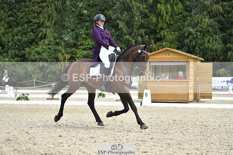 230812-134239-04485 - Cls 7 FEI PSG Bronze