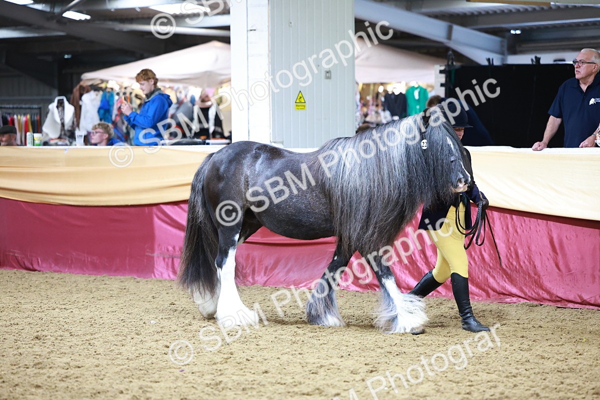 SBM_20104 - Class C - Novalty Champ