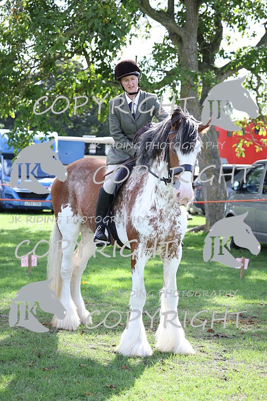 APP_3681 - Class 8 Ridden Class