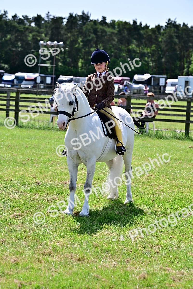SBM_06117 - Class 59-60 - TSR M&M  Lear Rein and First Ridden Amateur of the year