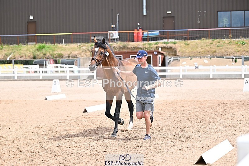 250716-132647-00516 - Trot Up 12.30 to 1.30