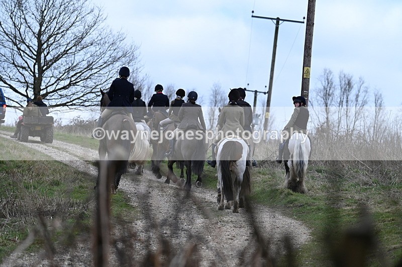 WJ7_7482 - Walk Home