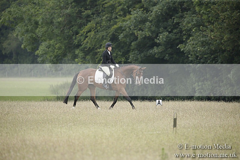 B230619-0324 - Bourne Valley Riding Club Summer Show 23/06/19