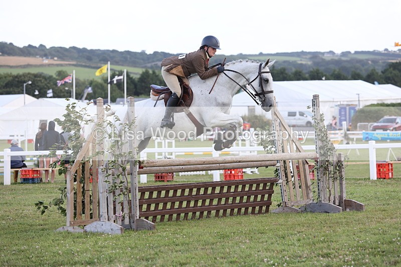 JPP_3637 - Class 24: Open Working Hunter