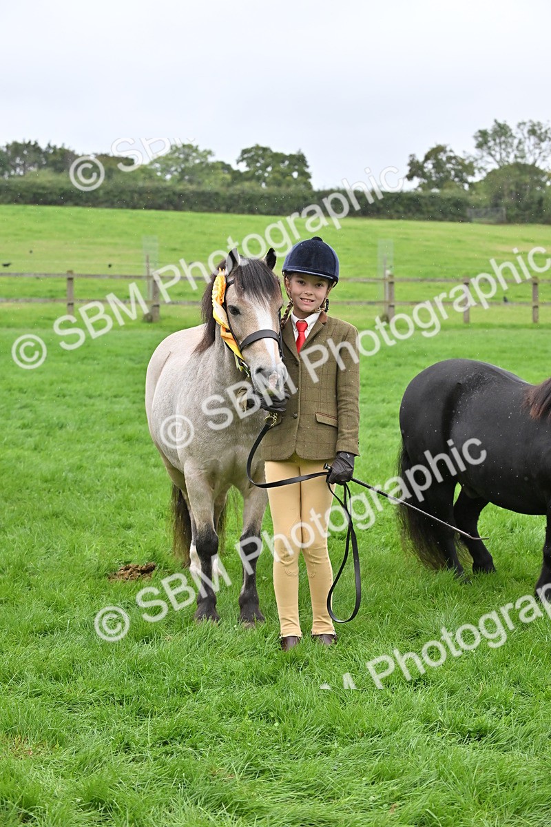 SBM_68633 - S42 - Junior Handler 9-12 Years